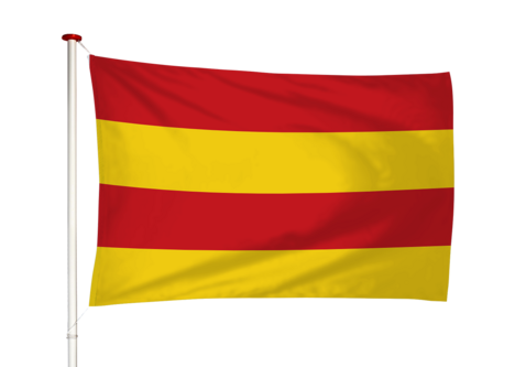 Vlag Stavoren - Starum (fr)