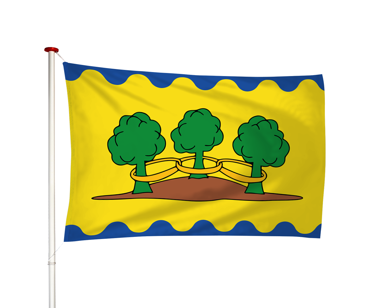 Vlag Ter Idzard - Teridzert (fr)