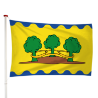Vlag Ter Idzard - Teridzert (fr)