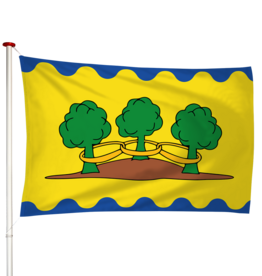 Vlag Ter Idzard - Teridzert (fr)