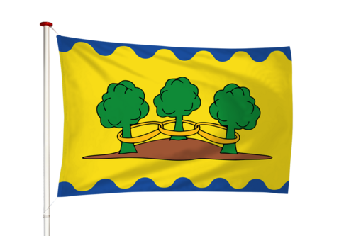 Vlag Ter Idzard - Teridzert (fr)