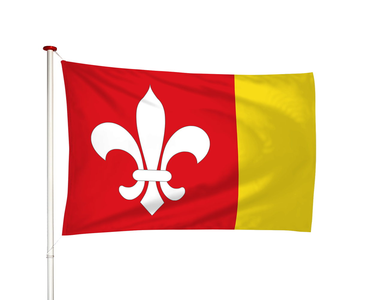 Vlag Terhorne - Terherne (fr)