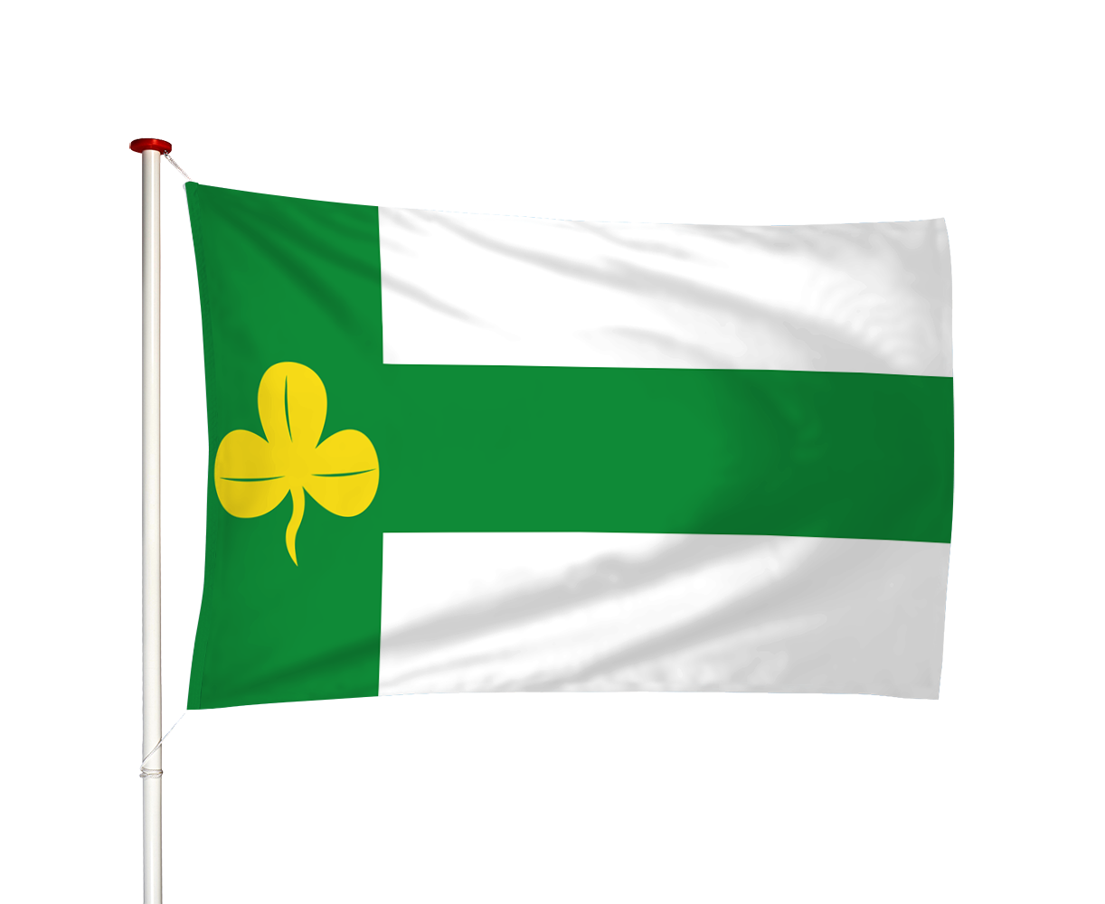Vlag Terwispel