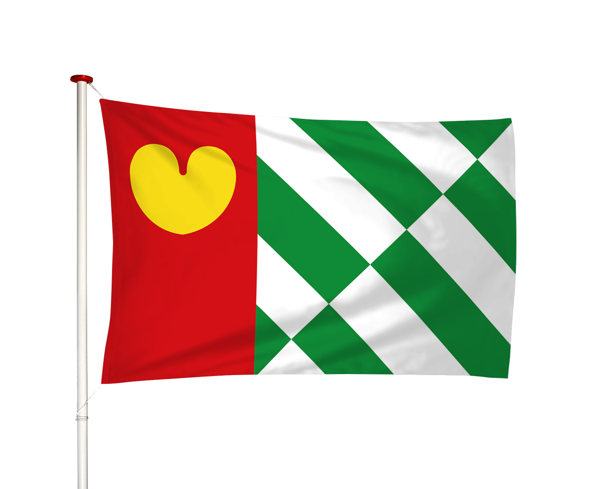 Vlag Tijnje - Tynje (fr)