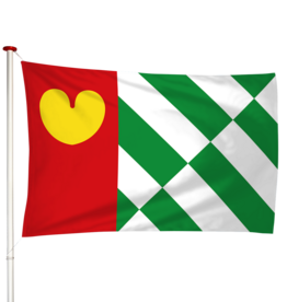 Vlag Tijnje - Tynje (fr)