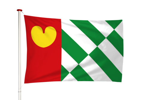 Vlag Tijnje - Tynje (fr)