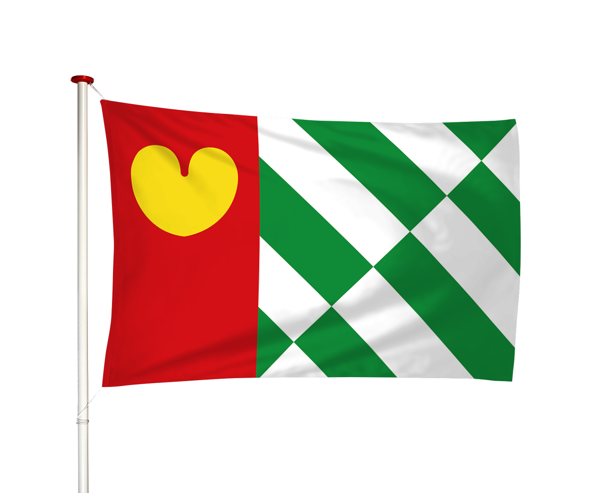 Vlag Tijnje - Tynje (fr)
