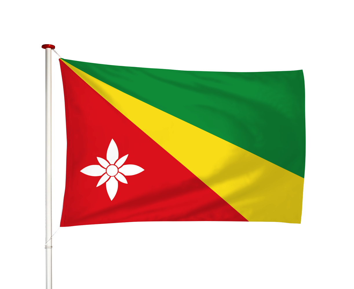 Vlag Twijzelerheide - Twizelerheide (fr)