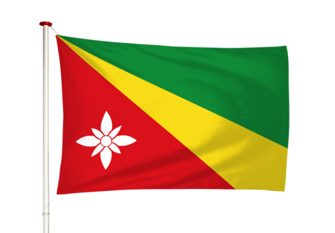 Vlag Twijzelerheide - Twizelerheide (fr)