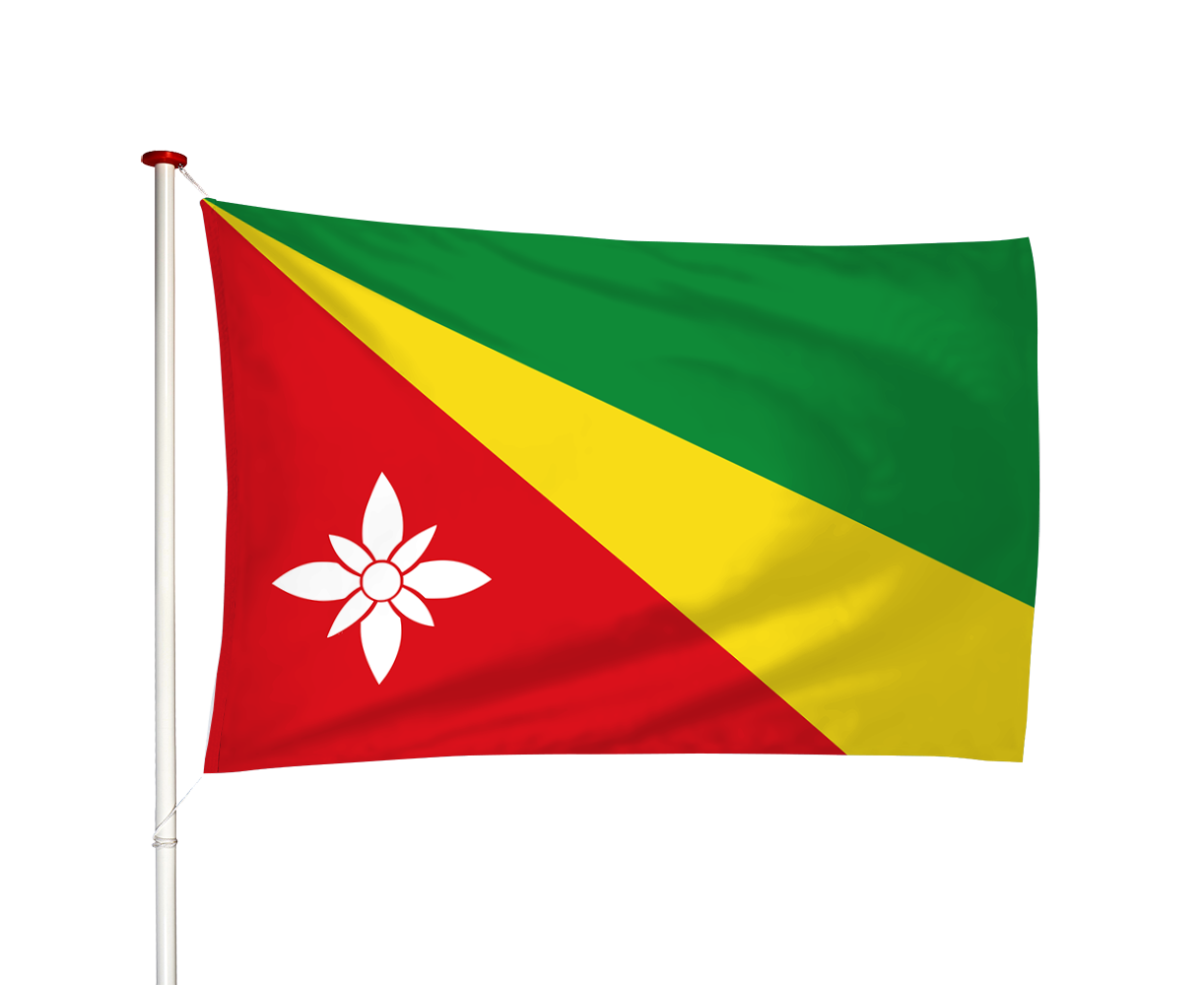 Vlag Twijzelerheide - Twizelerheide (fr)