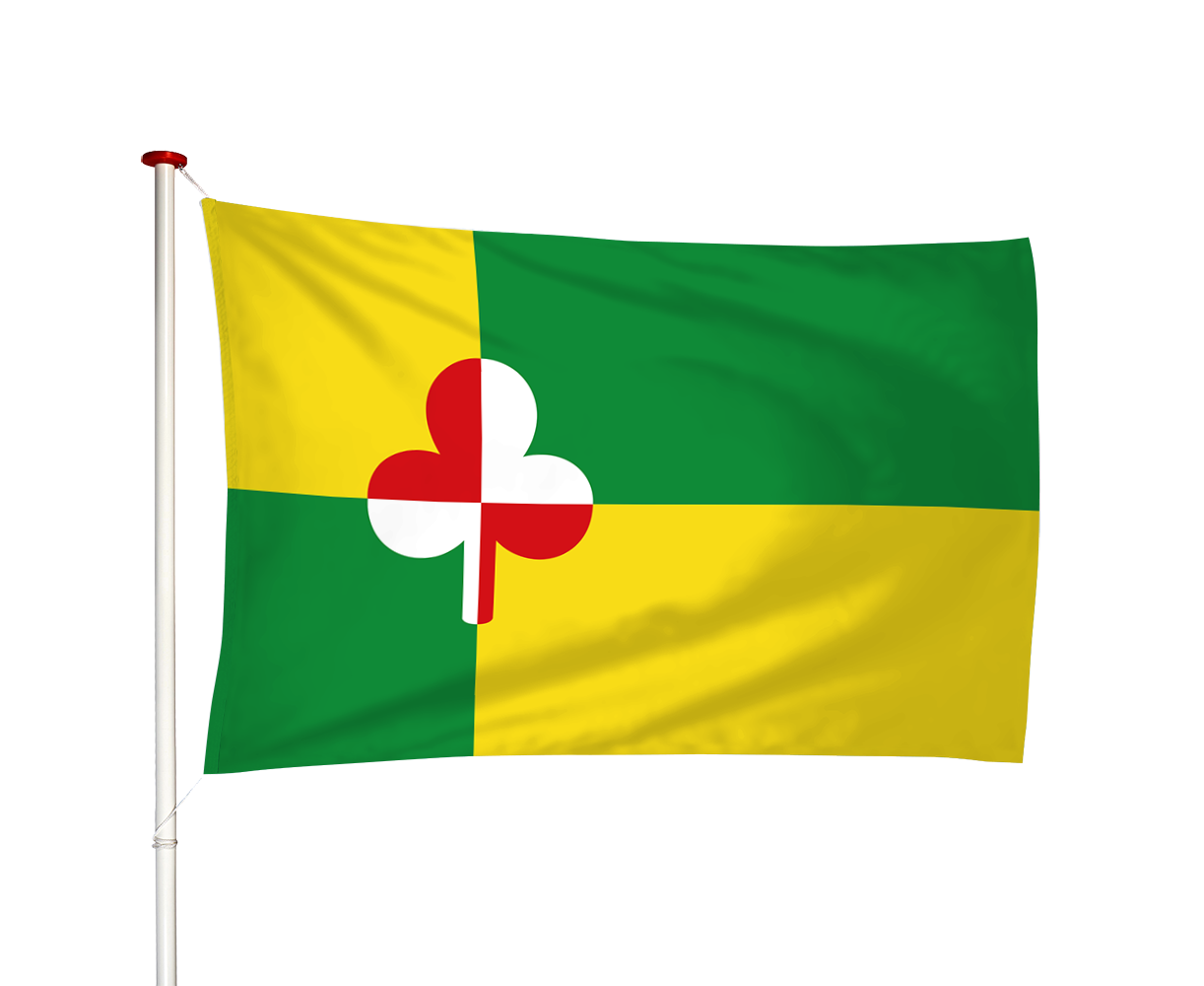 Vlag Tzum - Tsjom (fr)