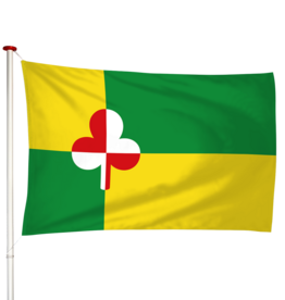 Vlag Tzum - Tsjom (fr)
