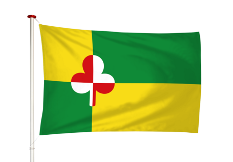 Vlag Tzum - Tsjom (fr)