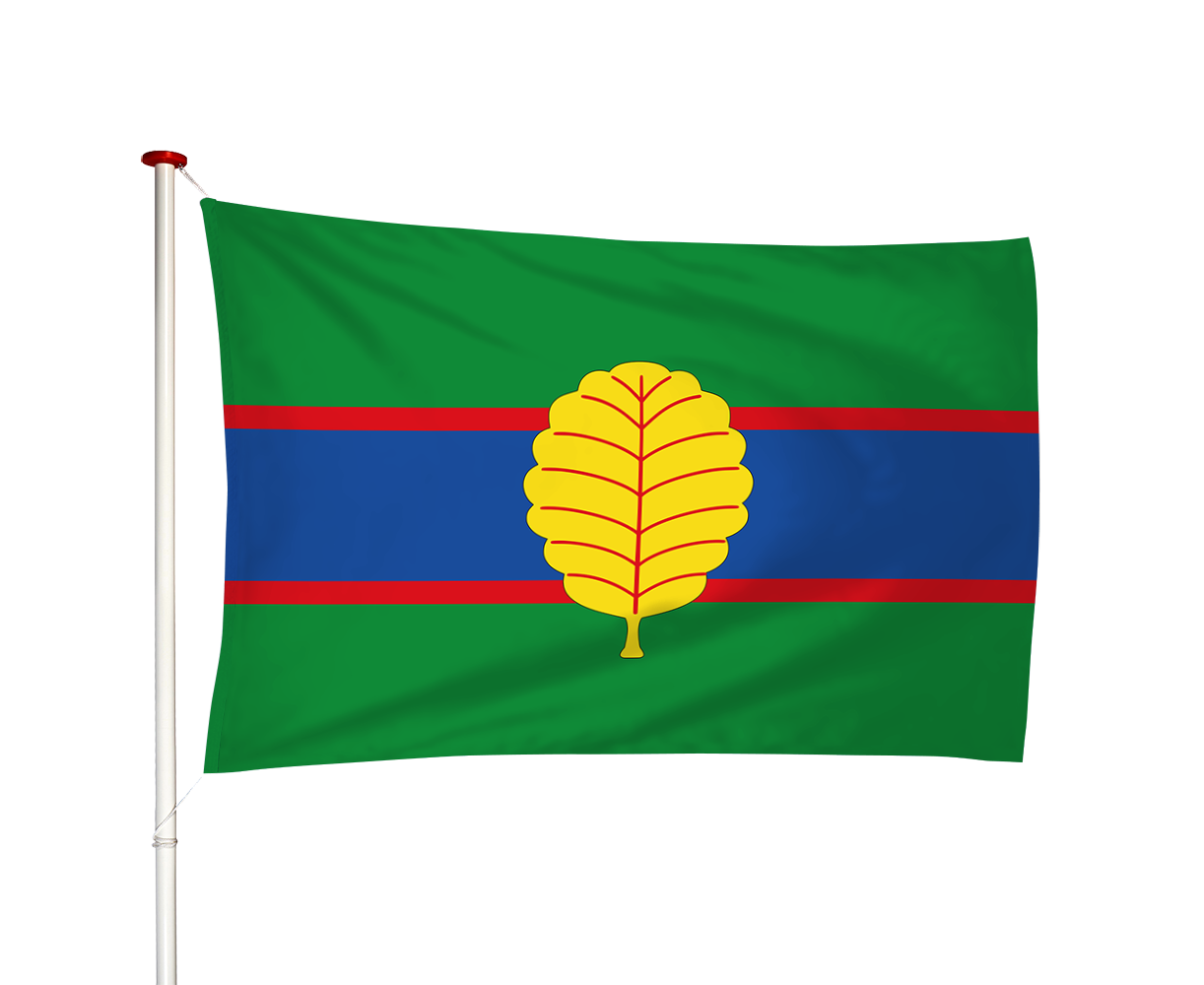 Vlag Veenwoudsterwal - Feanwaldsterwal (fr)