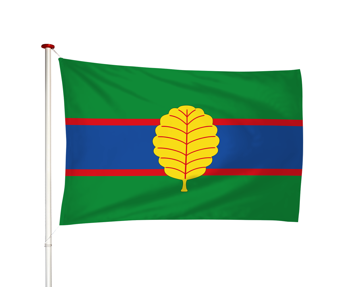 Vlag Veenwoudsterwal - Feanwaldsterwal (fr)