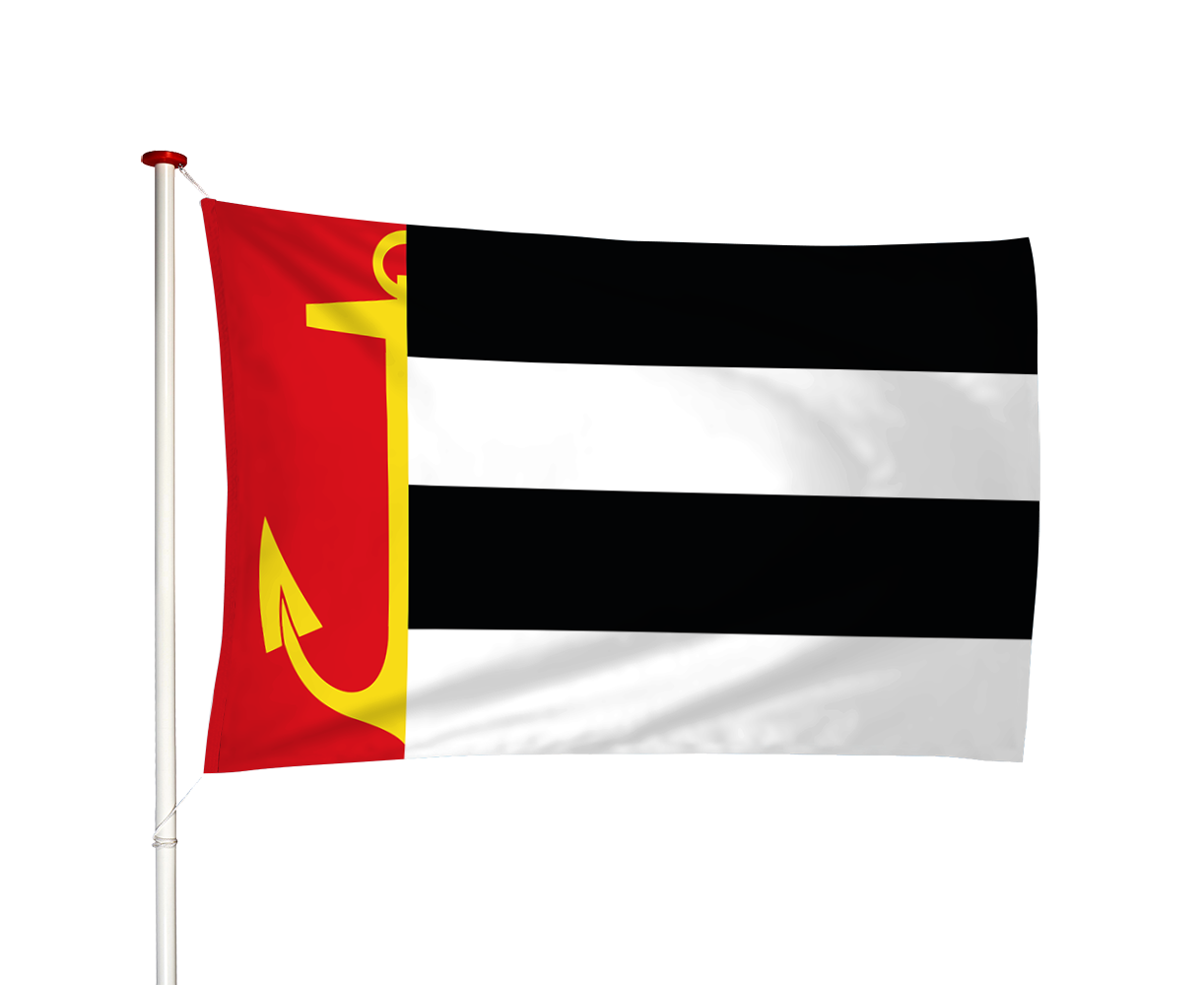 Vlag Warns - Weins (fr)