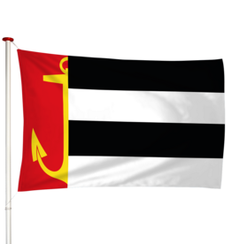 Vlag Warns - Weins (fr)