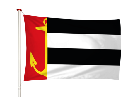 Vlag Warns - Weins (fr)