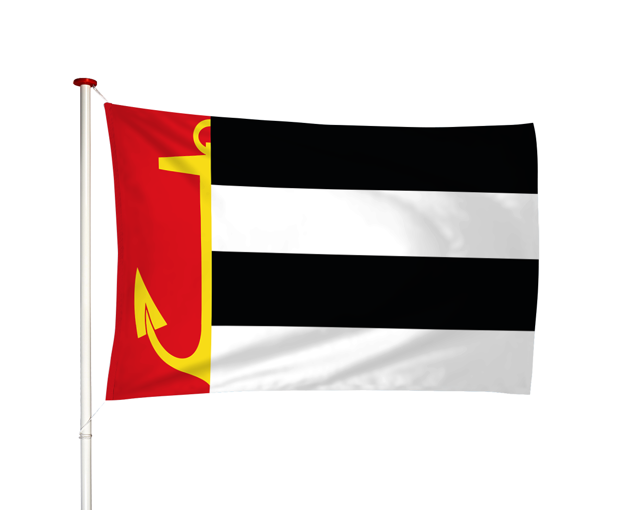 Vlag Warns - Weins (fr)