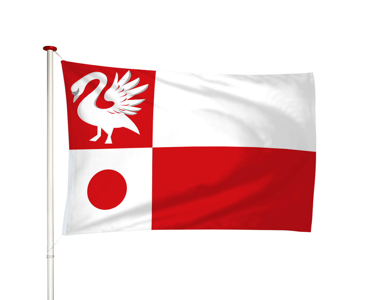 Vlag Wartena - Warten (fr)