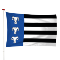 Vlag Waskemeer - Waskemar (fr)