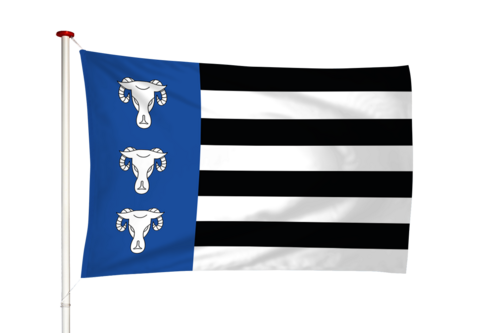 Vlag Waskemeer - Waskemar (fr)
