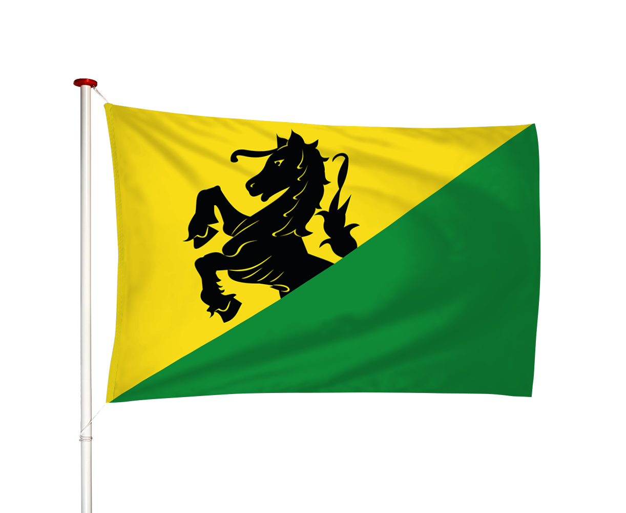 Vlag Wirdum - Wurdum (fr)