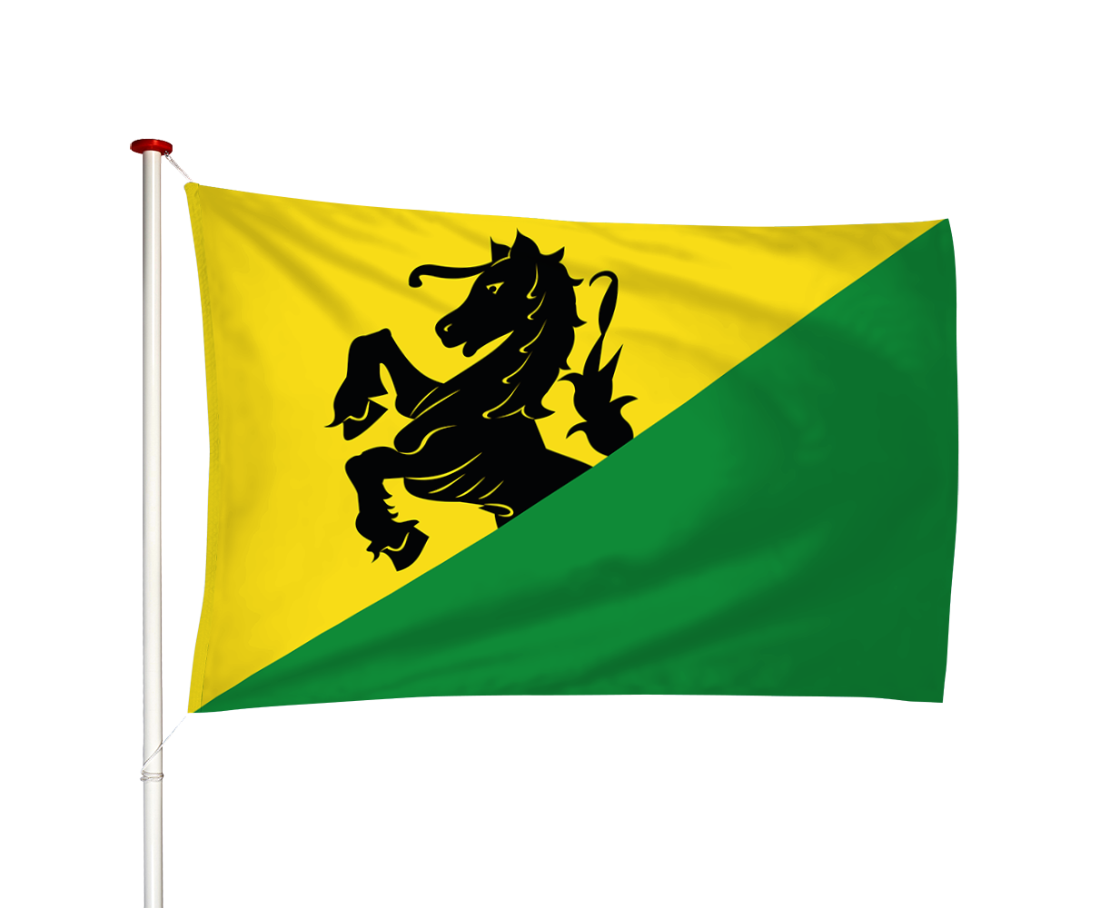 Vlag Wirdum - Wurdum (fr)