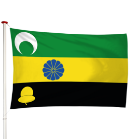 Vlag Wouterswoude - Walterswald (fr)