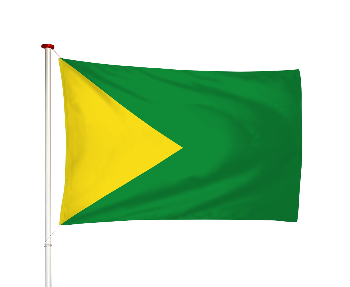 Vlag Zandbulten - Sanbulten (fr)