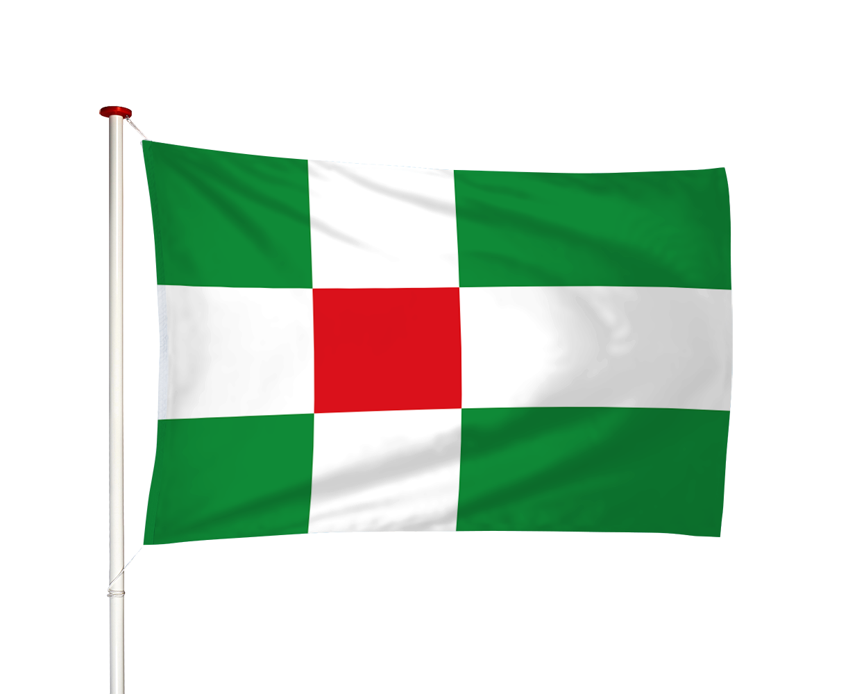 Vlag Zwagerbosch - Sweagerbosk (fr)