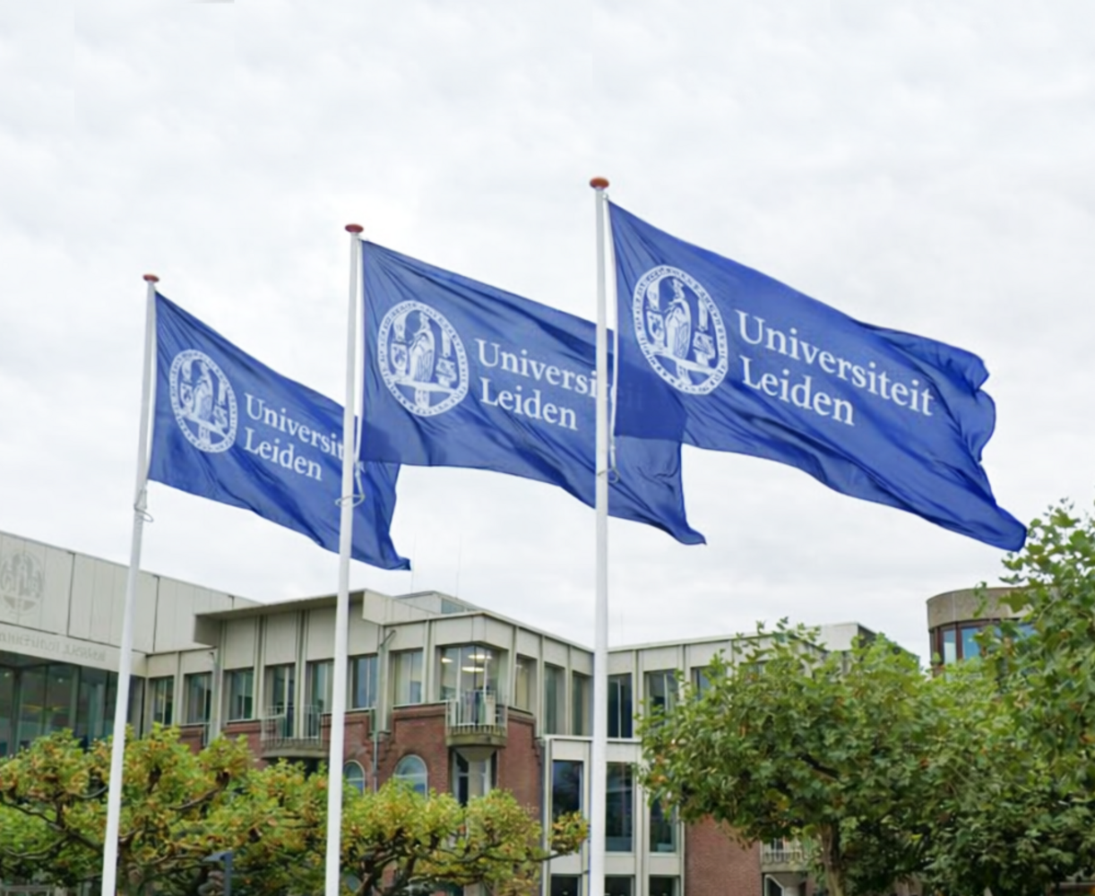 Bedrukte mastvlag - Eco