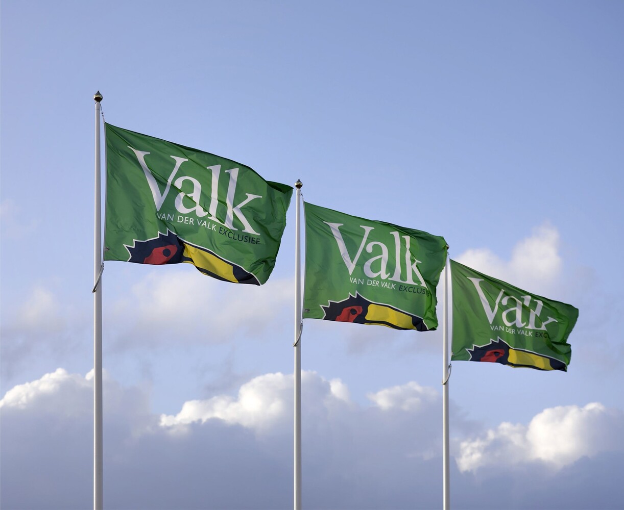 Polyester vlaggenmast 12 meter RAL-kleur