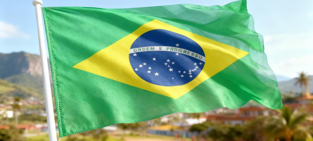 De Braziliaanse vlag