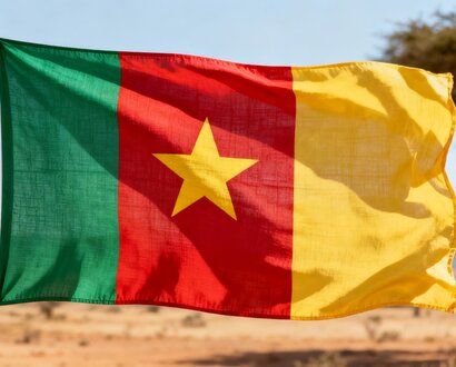 De Kameroense vlag