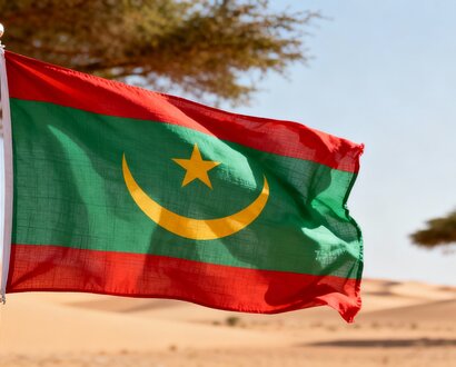 De Mauritaanse vlag