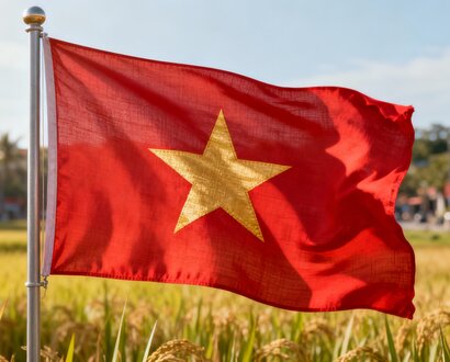 De Vietnam vlag
