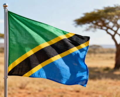 De Tanzaniaanse vlag