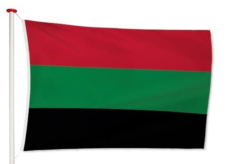 Vlag NEC Nijmegen