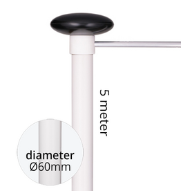 5 Meter Baniermast 60mmØ