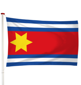 Vlag Eenrum