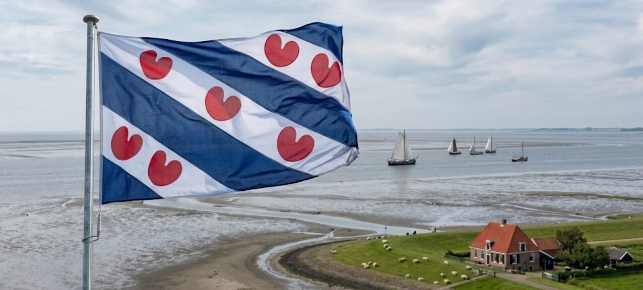 De Friese vlag