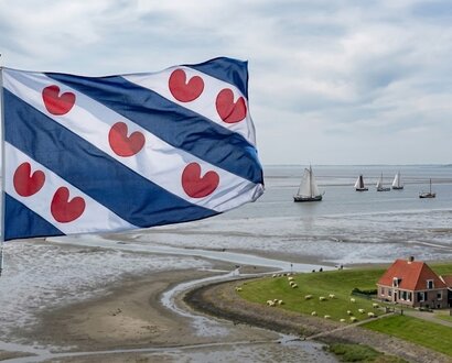 De Friese vlag