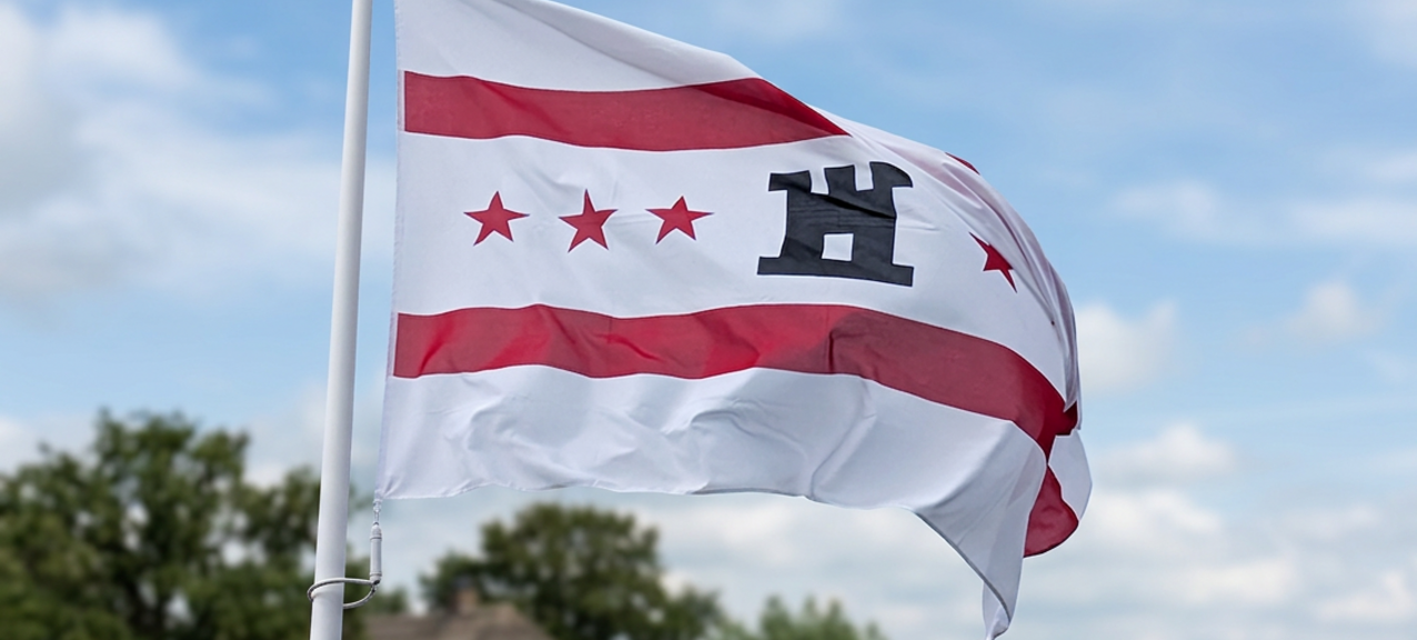 De vlag van Drenthe