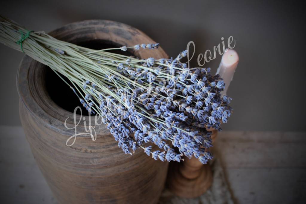 Bos gedroogde Lavendel - Lifestyle By Leonie