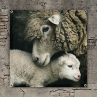 Tuinposter / doek Schaap 90 cm