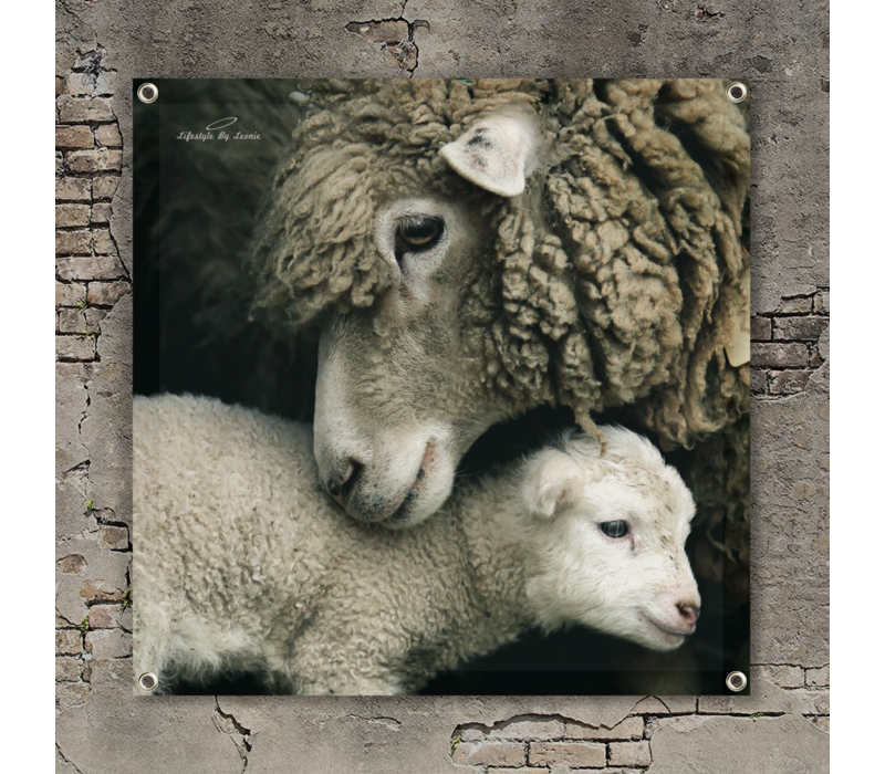 Tuinposter / doek Schaap 90 cm