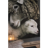 Tuinposter / doek Schaap 90 cm