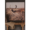 Tuinposter / doek Damhert 100 cm