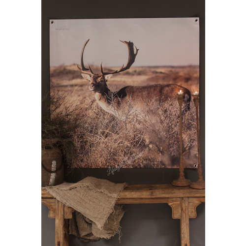 Tuinposter / doek Damhert 100 cm 